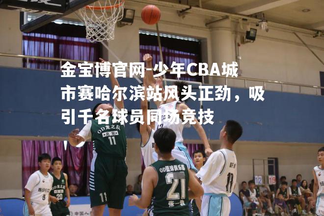 少年CBA城市赛哈尔滨站风头正劲，吸引千名球员同场竞技